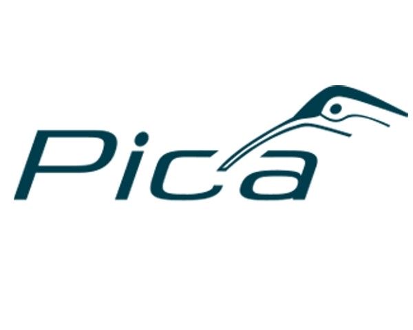 Pica-DRY